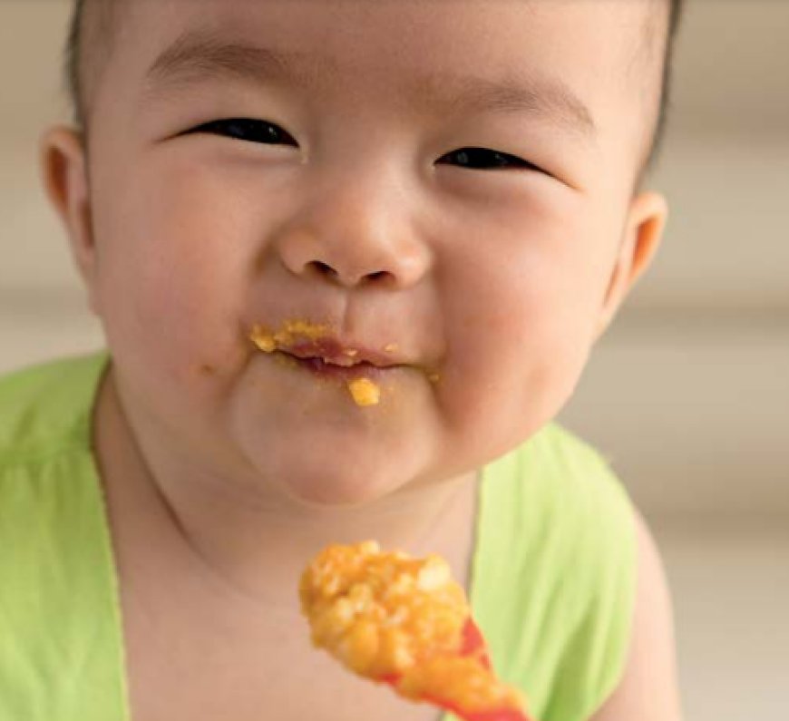 The 10 Guiding principles of complementary feeding