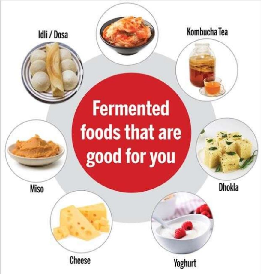 Fermented Proteins: Understanding their health benefits.