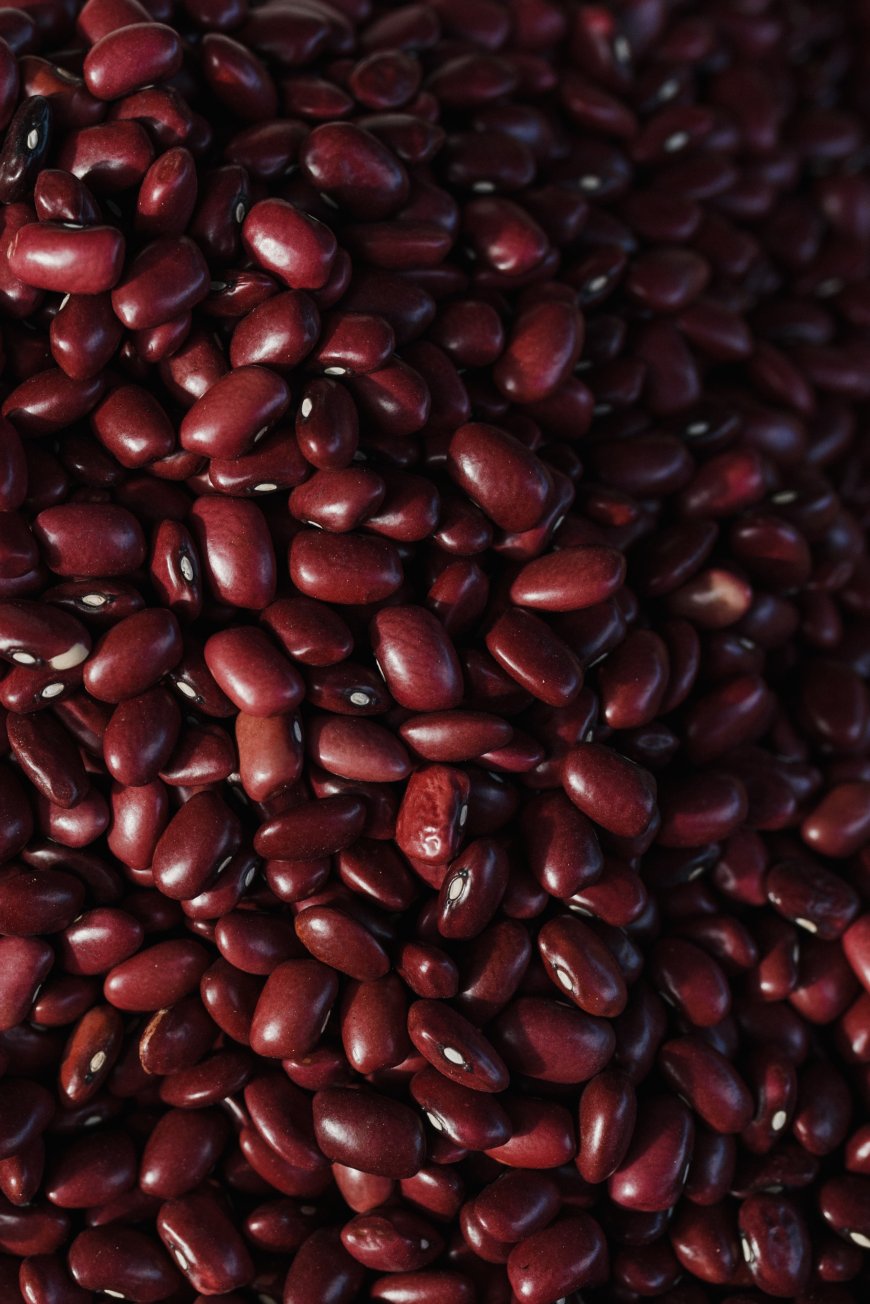 Are Dietary Lectins Good or Bad for Your Gut Health?