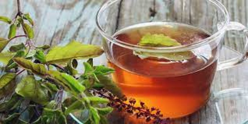 What is Tulsi tea good for? 10 incredible Health Benefits of Tulsi Tea
