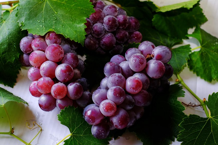 Grapes: Resveratrol Richness